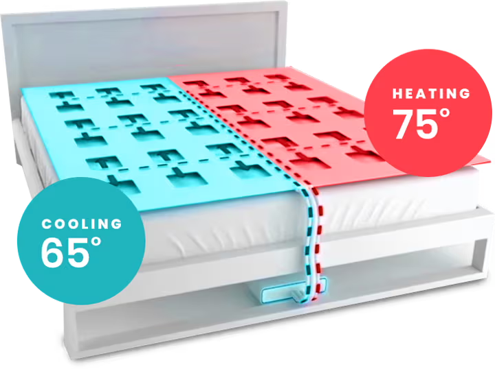 Dual zone temperature control system